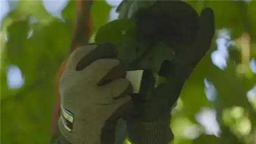 惟有這一些抓人眼球的戶外廣告才配叫創(chuàng)意！標(biāo)識(shí)主也滿意10