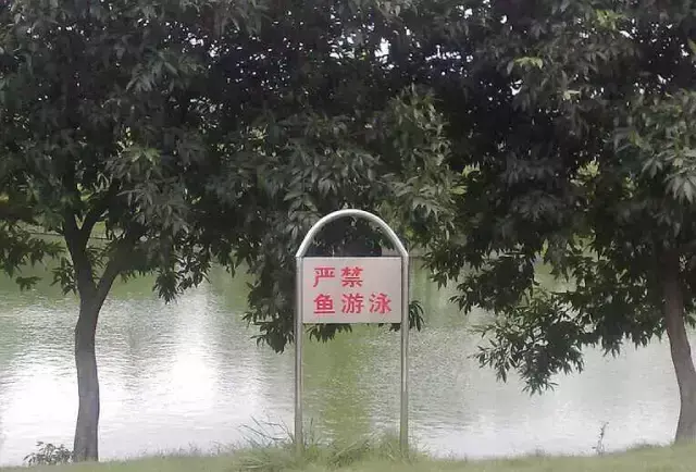 這些沙雕招牌廣告標(biāo)語，讓我站路邊笑了半天停不下來23