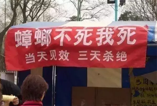 這些沙雕招牌廣告標(biāo)語，讓我站路邊笑了半天停不下來17
