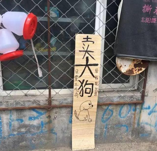 中國街道廣告牌燈箱有多野？看看這些讓人笑掉大牙的牌子名20